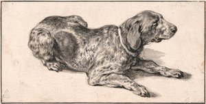 Reclining Dog by Aelbert Cuyp